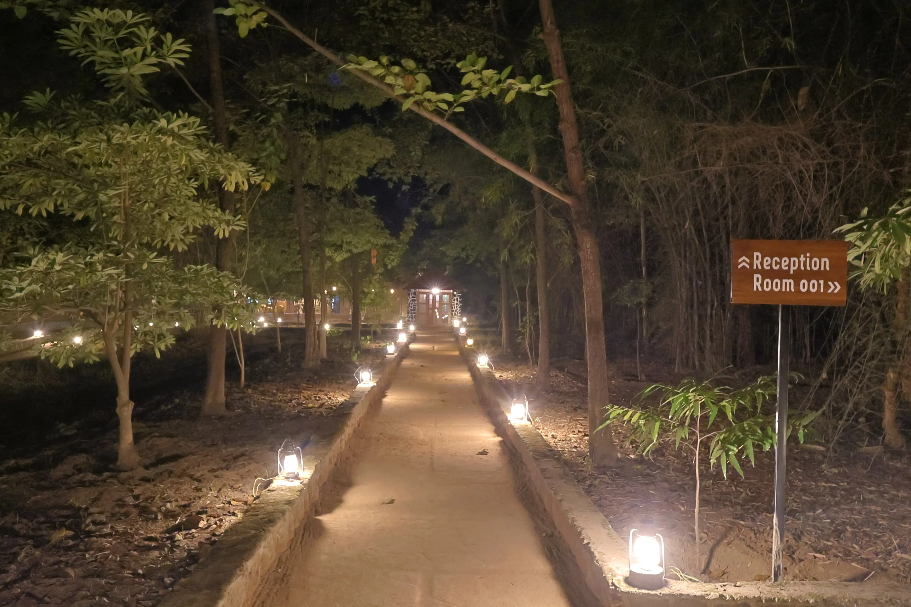 Maati Jungle Lodge - Where Nature Meets Luxury in Bandhavgarh - View 3